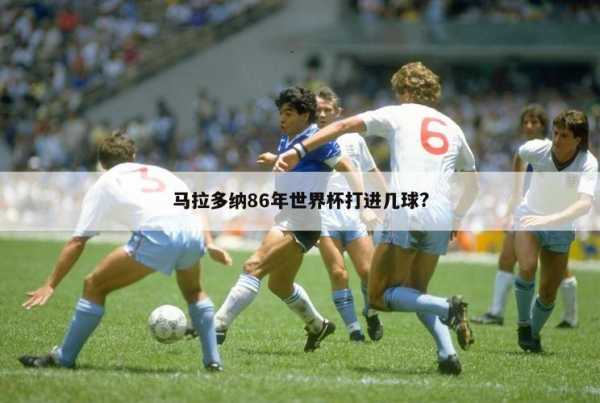 1986年世界杯_比利时1986年世界杯