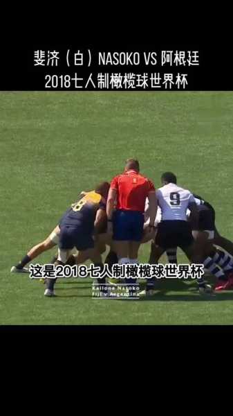 1995年橄榄球世界杯_1995年橄榄球世界杯意义