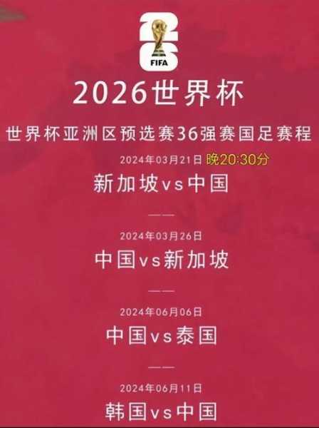 2006年世界杯比赛结果_2006年世界杯比赛结果如何