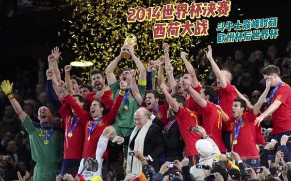 2010 世界杯_2010世界杯决赛