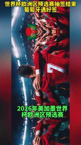 2010世界杯冠军阵容_2010世界杯冠军是哪个国家队