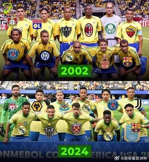 2010世界杯巴西_2010世界杯巴西队阵容