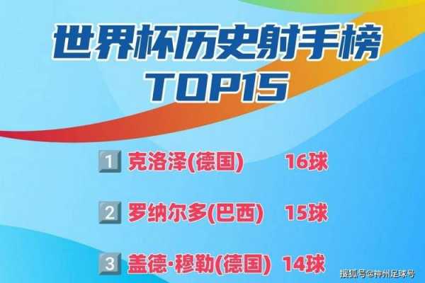 2010年世界杯射手榜_2010世界杯最佳射手榜