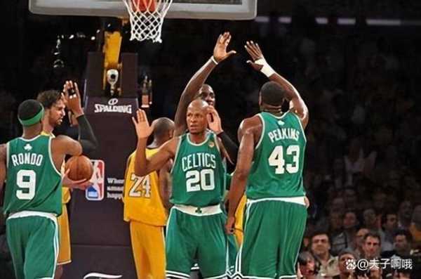 nba2010年总决赛_2010 nba 总决赛