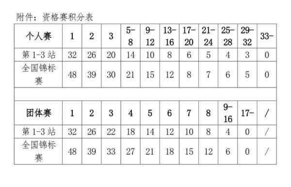 第十三届全运会排名_第十三届全运会排名表