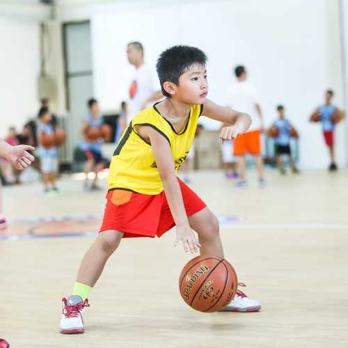 篮球新手入门教学_篮球新手入门教学视频