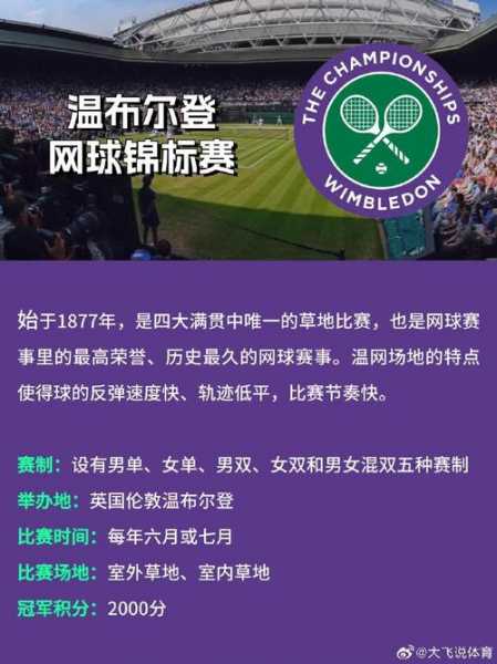 网球四大公开赛_网球四大公开赛是指