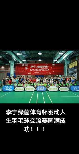 羽毛球团体比赛规则_羽毛球团体比赛规则及裁判