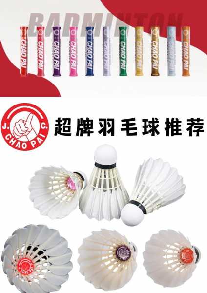 羽毛球用品_羽毛球用品专营店