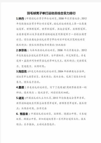 羽毛球男子单打_羽毛球男子单打排名