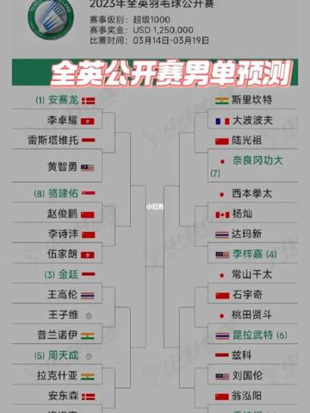 羽毛球男子单打_羽毛球男子单打排名