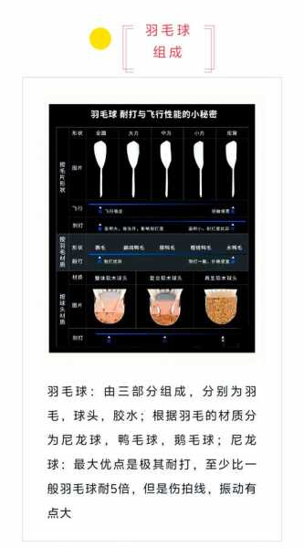 羽毛球视频_羽毛球视频教学