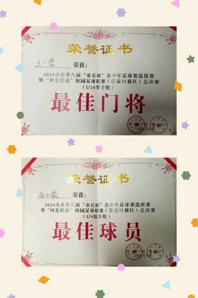 足球个人奖项有哪些_足球的个人奖项