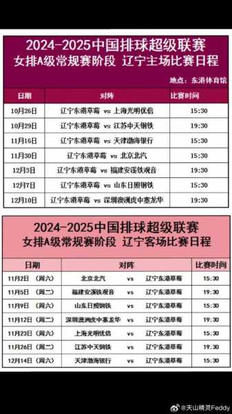 辽宁女排全运会名单_辽宁女排全运会冠军