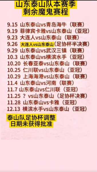 鲁能赛程分析_鲁能赛况