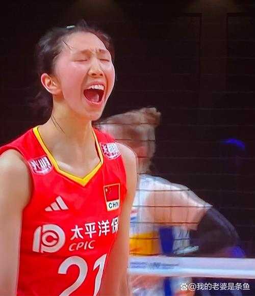 2017世界女排联赛总决赛，2017世界女排联赛总决赛中国对荷兰
