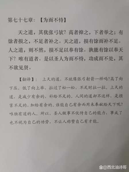 体坛之老子是冠军，老子是最强替补笔趣阁