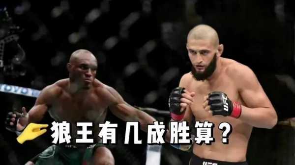 小鹰评价ufc奇马耶夫比赛，奇马耶夫vs小鹰