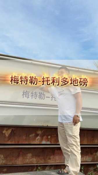 梅特勒托利多公司简介，梅特勒托利多企查查