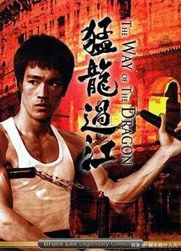 猛龙过江电影，猛龙过江电影李小龙版