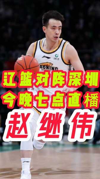 辽宁体育无插件直播，辽宁体育手机直播