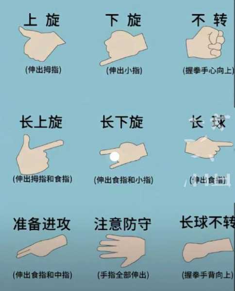 乒乓球的十六种打法，乒乓球打法和技巧总结