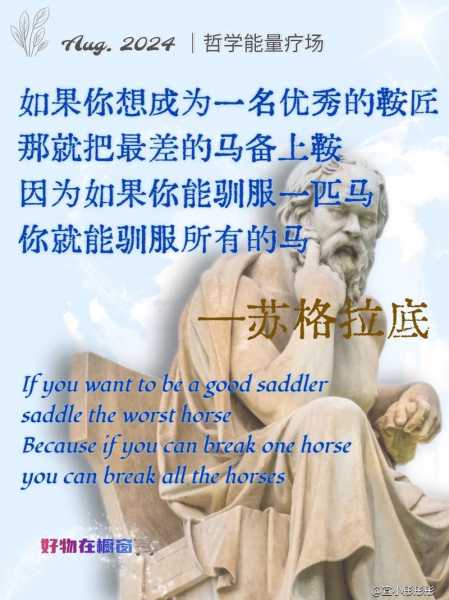 巴西球星苏格拉底，巴西球星苏格拉底简介
