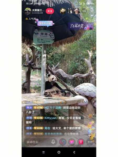熊猫直播官网，熊猫直播新版本