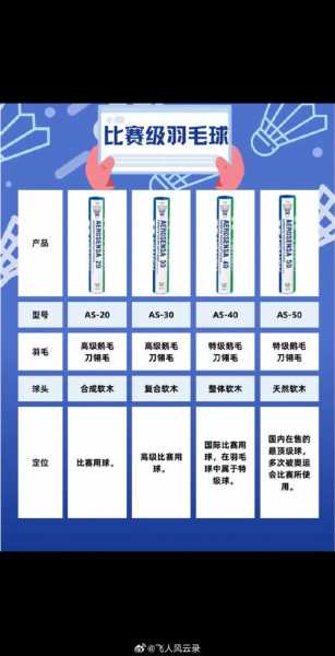 羽毛球装备品牌排行榜，羽毛球装备除了三大品牌