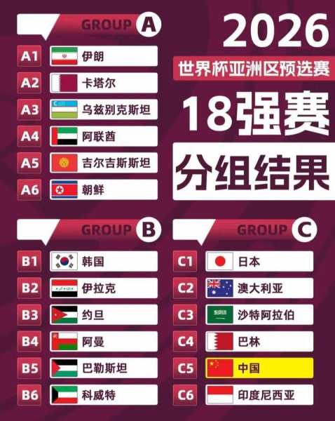 足球世界杯2026在哪里举行，2022年足球世界杯在哪
