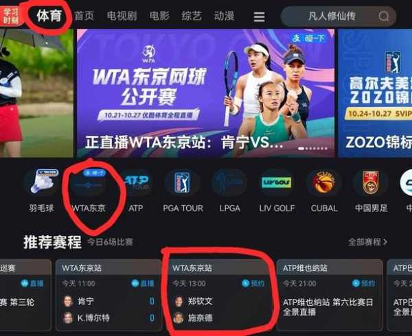 12强赛直播在线，12强赛直播免费