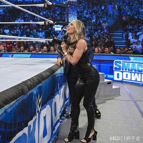wwe2022免费完整版中文解说，wwe全集中文解说