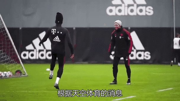 曼联转会动态，曼联转会动态分析