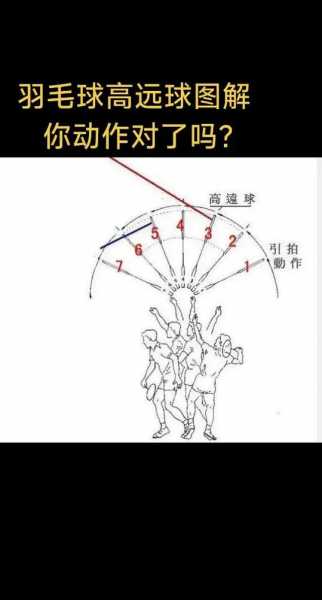 羽毛球入门基本动作视频，羽毛球入门基本步法