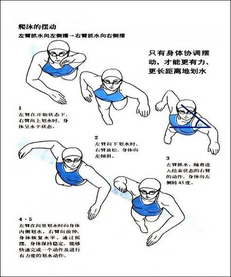 自由泳教学视频慢动作，自由泳教学视频慢动作初学者必看