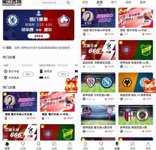 黑白足球直播，黑白足球直播间