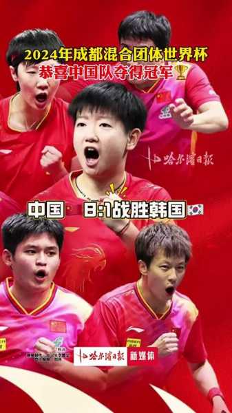2010莫斯科世乒赛男团决赛，2010莫斯科世乒赛男团决赛中文解说