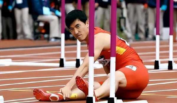 刘翔伦敦奥运会回顾，刘翔伦敦奥运会之后,参加的比赛
