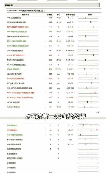 巴恩斯医院答案，巴恩斯医院案例中发现了什么问题