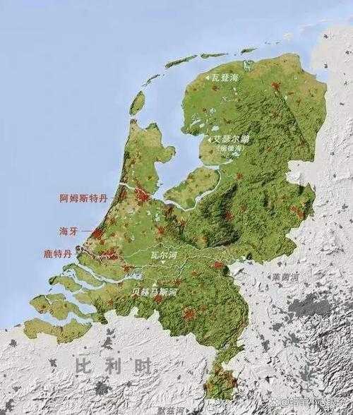 巴西荷兰，巴西和荷兰什么关系