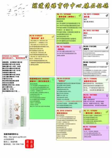 科汇赛鸽赛事直播平台，科汇赛事直播网址搜鸽天下