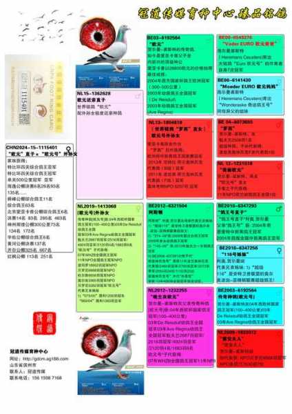 科汇赛鸽赛事直播平台，科汇赛事直播网址搜鸽天下