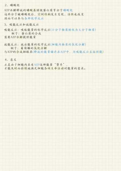 atp官网中文，atp官网有没有中文的
