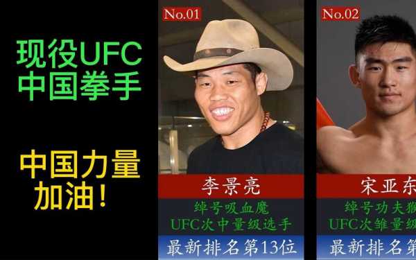ufc十大顶级高手，ufc高手排名