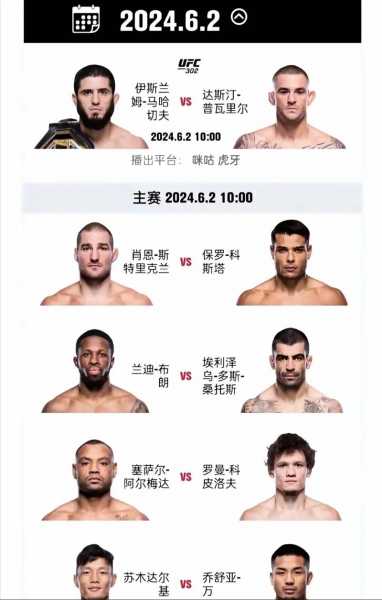 ufc十大顶级高手，ufc高手排名