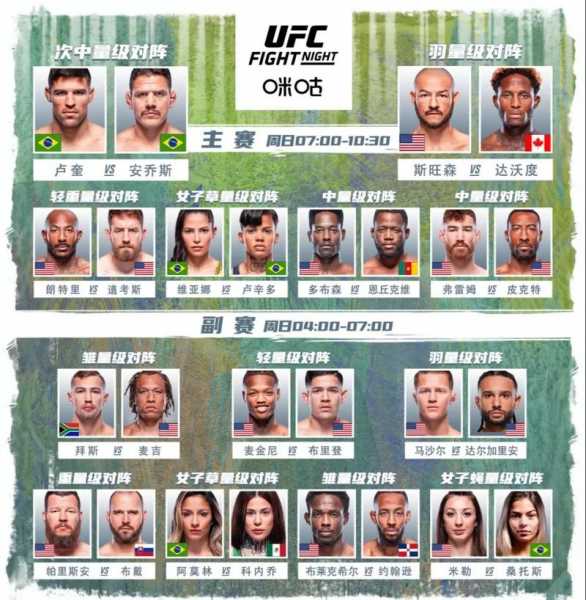 ufc格斗游戏，UFC格斗游戏破解版