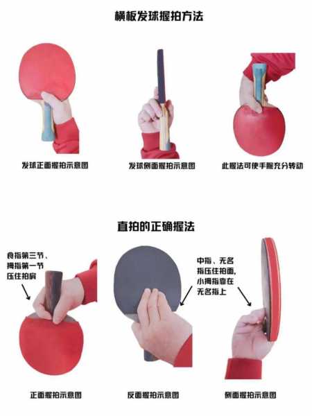 乒乓球训练教程，乒乓球训练教程京东