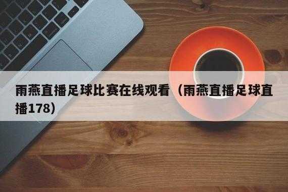 体育直播雨燕直播，雨燕直播体育app下载