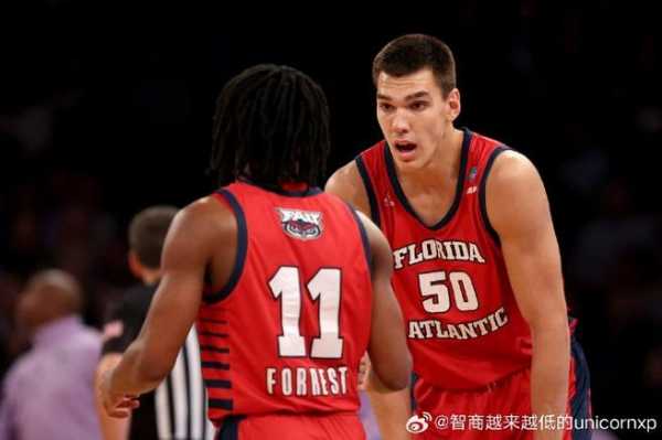 俄罗斯nba球员有哪些，nba俄罗斯球员有谁
