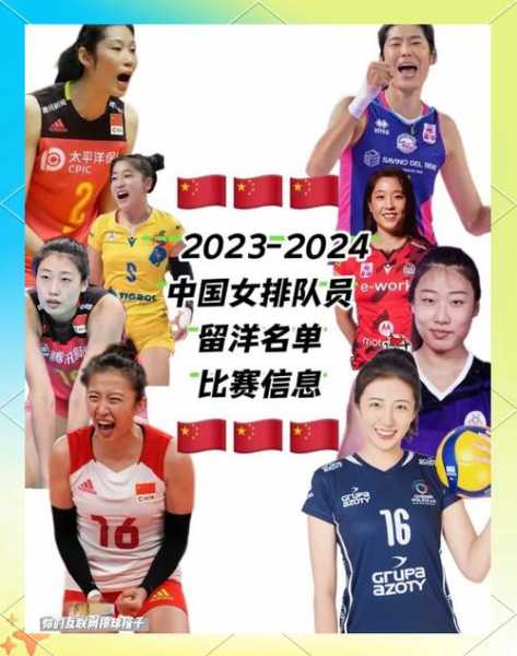 女排里约十二人名单，女排里约成员